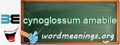 WordMeaning blackboard for cynoglossum amabile